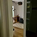 Govi Al Pieno Centro Di Tirana