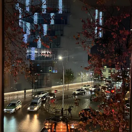 Govi Al Pieno Centro Di Tirana