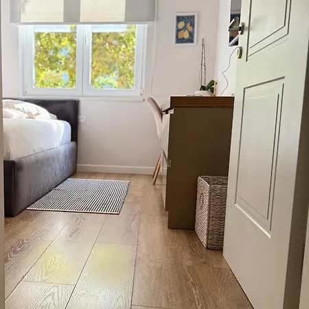 Govi Al Pieno Centro Di