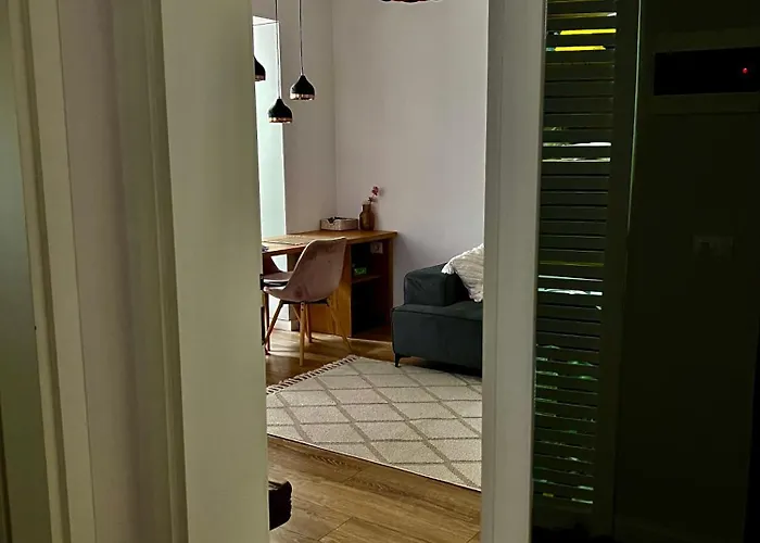 Govi Al Pieno Centro Di Tirana