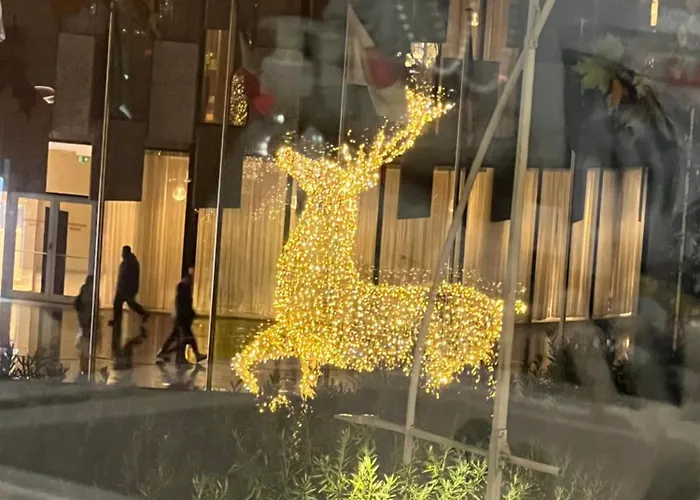 Govi Al Pieno Centro Di Lejlighedshotel
